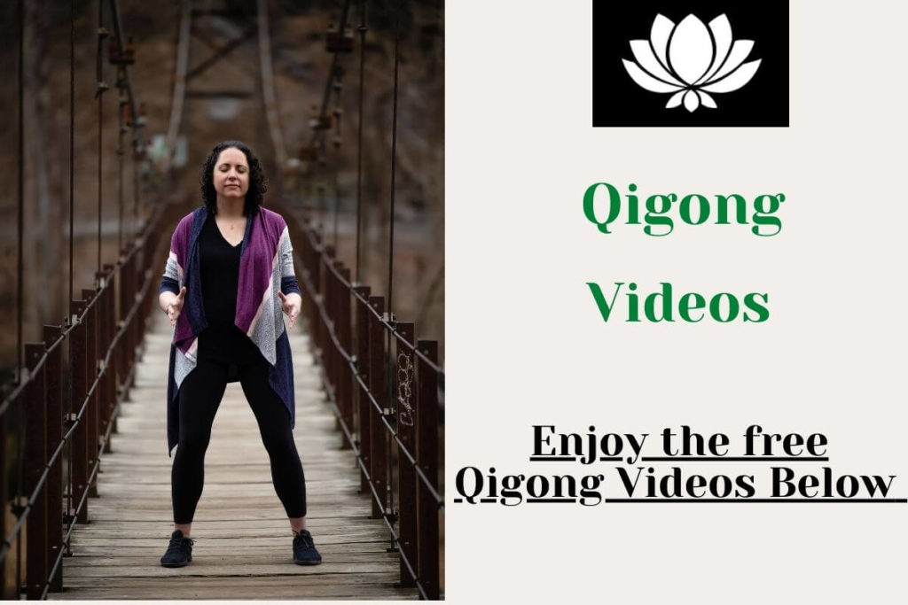 Qigong-Videos